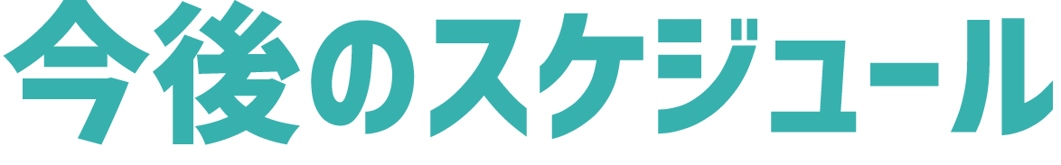 今後のスケジュール