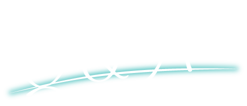 Q&A